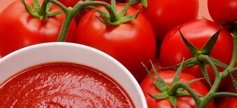 تصویر 4 از رب گوجه فرنگی سحر استریلیزه بطری شفاف صادراتی
